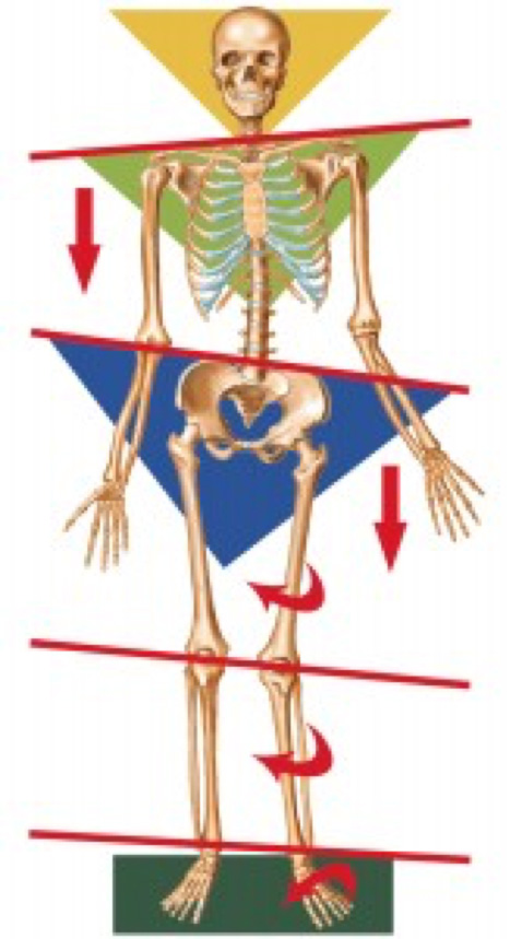 Altered joint movement