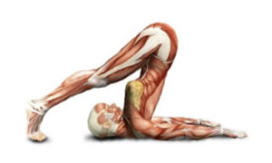 Benefits of Regular Stretching