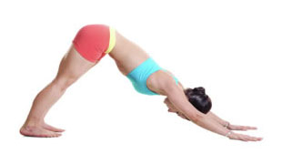 Stretch calf, hamstring, gluteals (buttock), back and shoulder muscles